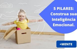 5 PILARES da Inteligência Emocional