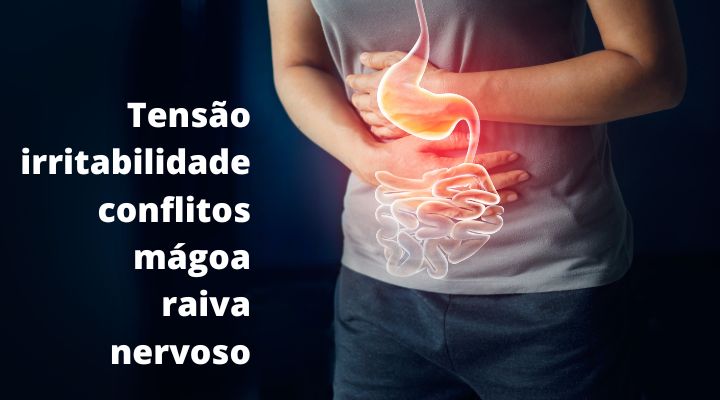 BLOG 11 - ENJOO - grande decepção e mágoa